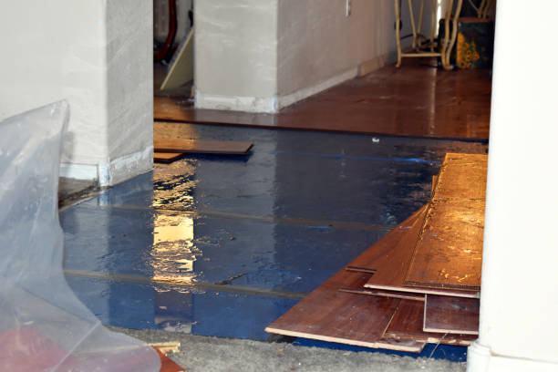 Professional Burst Pipe Cleanup technician working in Kingston, IL